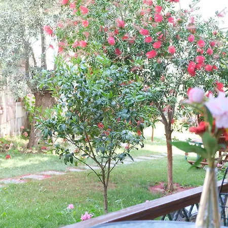 Niluefer Butik (adults Only) 호텔 Ayvalı