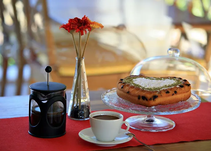 Nilüfer Butik Otel Ayvalı