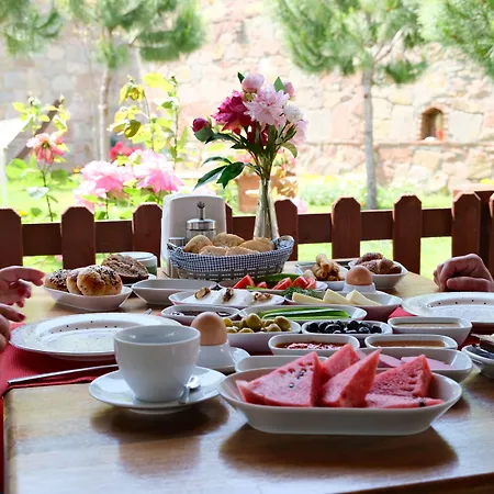 Niluefer Butik (adults Only) Ayvalı