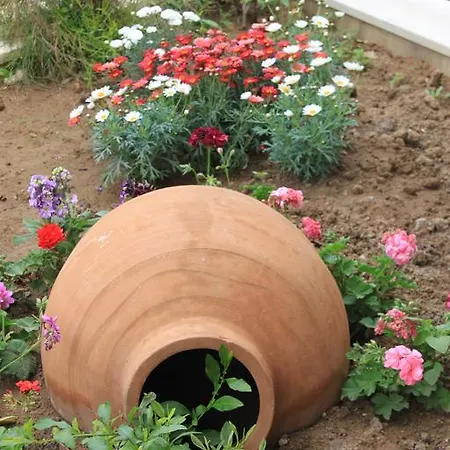 Niluefer Butik (adults Only) Szálloda Ayvalı