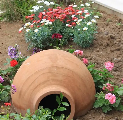 Niluefer Butik (adults Only) Hotell Ayvalı