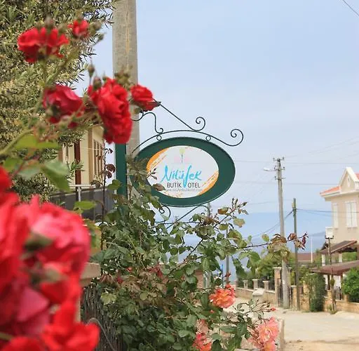 Niluefer Butik (adults Only)